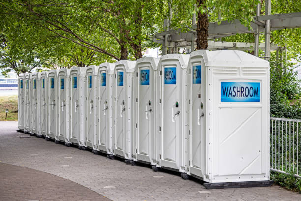 Best Affordable porta potty rental  in Virginia, MN