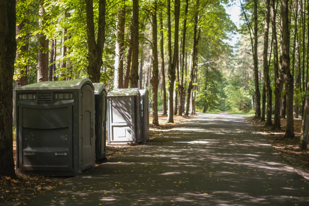 Virginia, MN porta potty rental Company